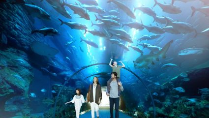 Aquarium duba mall